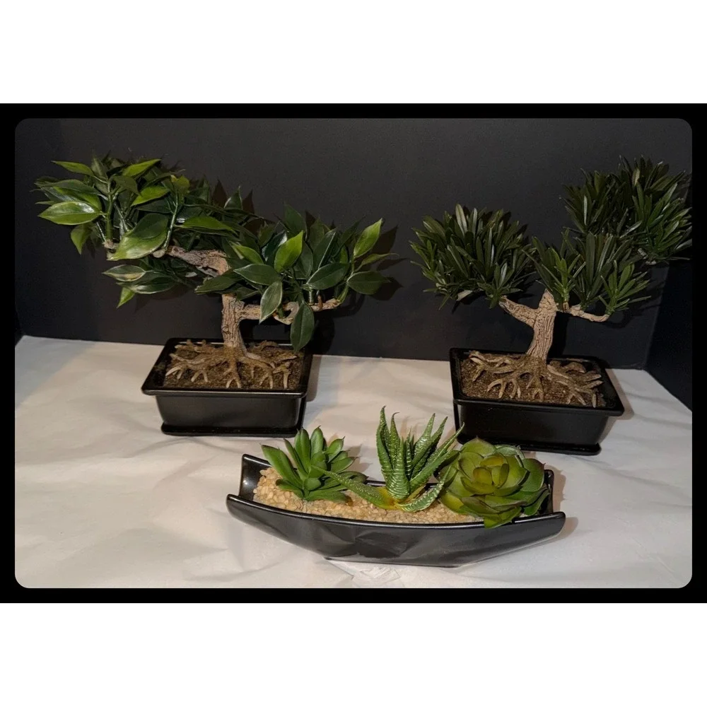 Artificial Bonsai and Succulent Set Home Decor Greenery Black Planters Zen